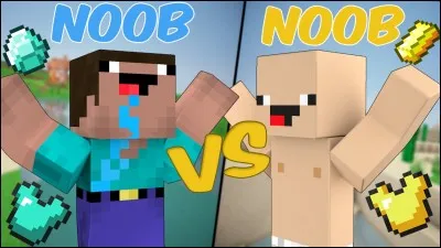 Est-ce que je suis un noob dans Minecraft ?