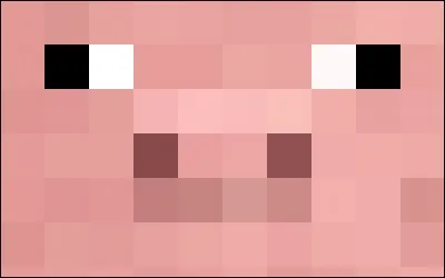 Comment s'appelle-t-il ?