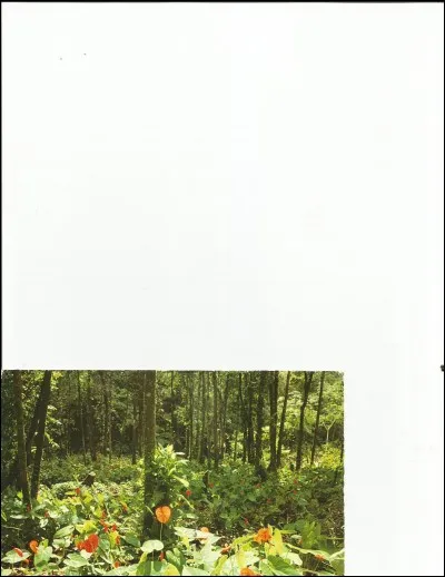 Souvent dans une maison pour être au chaud.