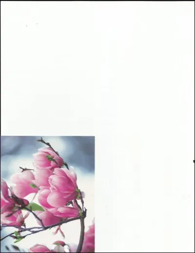 Un médecin français lui a donné son nom.