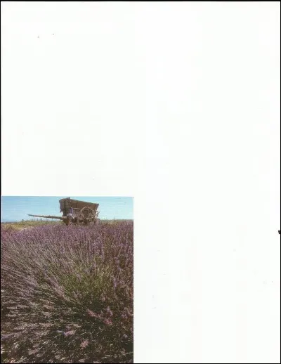 Elle parfume le linge.