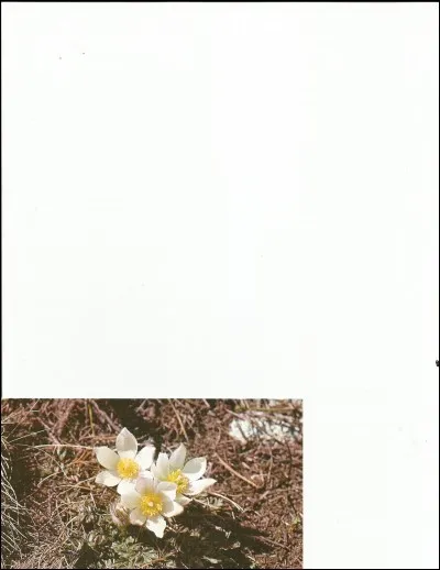 La femme d'un ancien président s'appelle comme elle.