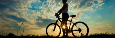 Ton sport préféré est :