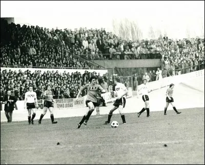 En 1981, les ''Merlus'' touchent le fond. Pour quelle raison se retrouvent-ils en Division supérieure régionale ?