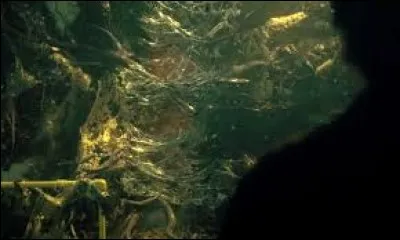 Où est le portail de l'Upside Down ?