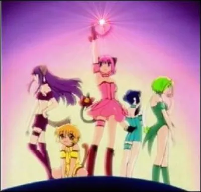 Qui a été à la tête du projet Mew Mew ?