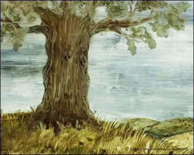 Quel est l'arbre national de Cuba ?