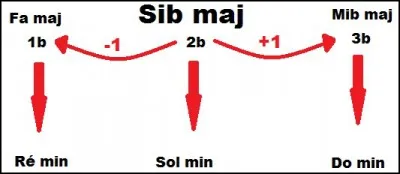 Combien y a-t-il de tons voisins dans une gamme et quels sont-ils ?
