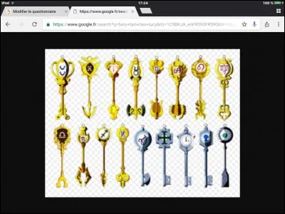 À qui appartiennent ces clés ?