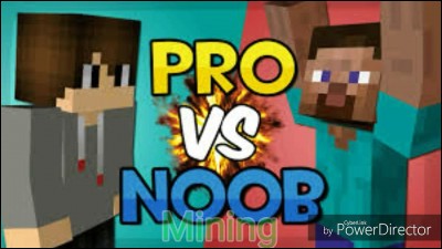 Crois-tu que tu es un pro ou un noob dans Minecraft ?