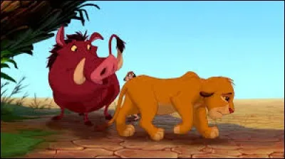 Quel est le problème de Pumbaa ?