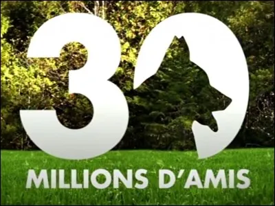 De qui préfères-tu être accompagné ?