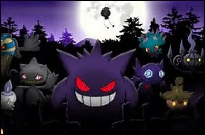 De quel(s) type(s) est-il ?