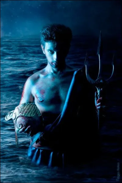 Poséidon interviendra lors de la guerre de Troie. Pour quelle partie ?