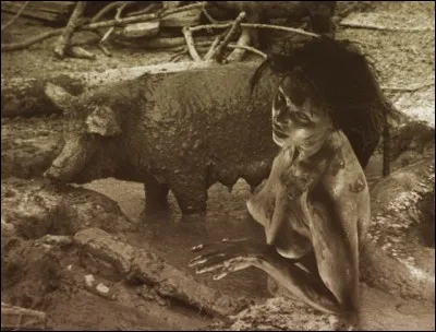 Redoutable magicienne usant de ses sortilèges pour charmer les compagnons d'Ulysse et les transformer en porcs. Qui est-elle ?