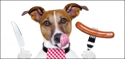 Pourquoi mange-t-il tout ce qui traîne par terre ?