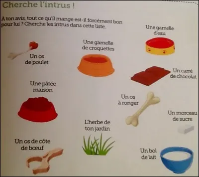 À ton avis, tout ce qu'il mange est-il forcément bon pour lui ? Cherche ce qui est mauvais pour lui dans cette liste (voir photo)