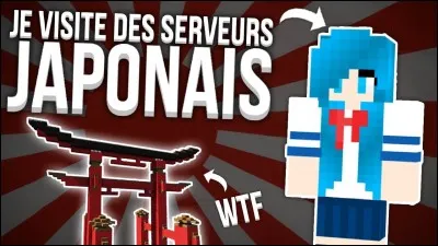 Quel mode utilise Fuze pour traduire le jeu sur les vidéos ''Je visite un serveur'' ? (plusieurs réponses)