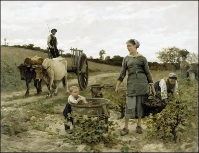 Qui a représenté "Un coin de vigne" ?