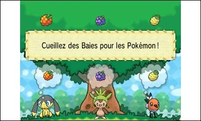 Joues-tu avec tes Pokémon à la Poké Récré ?