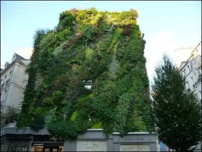 Fut derri&egrave;re le mur et le rideau.