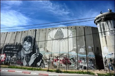 Il est tendre avant d'&ecirc;tre m&ucirc;r.