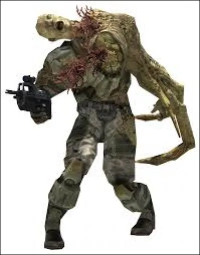 Qui a libéré le Flood de l'installation ?