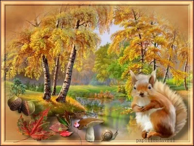 En automne, j'amasse des provisions, je me construis un lit de mousse dans un trou et je m'y couche pour hiberner. Je suis ...