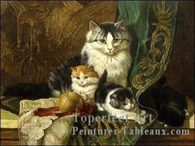 On me surnomme "le shah des chats".Je suis ...