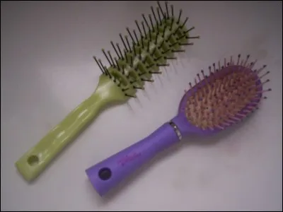 Cette brosse va aider cette jeune princesse à coiffer ses longs cheveux. Il s'agit de :