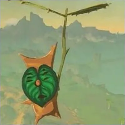 Combien de Korogus sont cachés à travers Hyrule ?