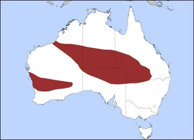Lequel de ces serpents ne vit pas en Océanie ?