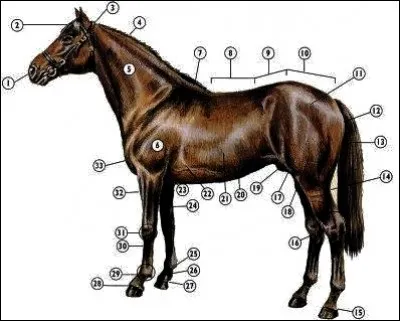 Comment s'appelle le numéro 2 ?