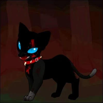 Comment s'appelle l'assassin d'Étoile du Tigre ?