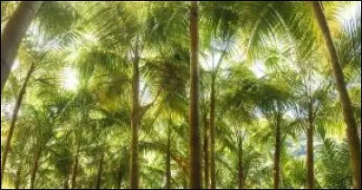 Quel est son chef-lieu ?