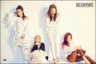 En quelle année les Blackpink ont-elles commencé leur carrière ?