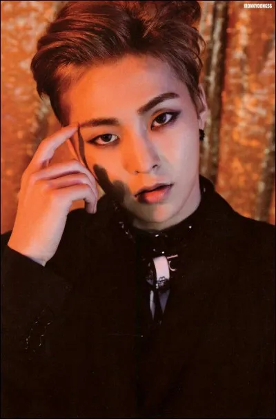 De qui Xiumin (EXO) est-il proche ?