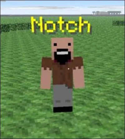 Le créateur de Minecraft te demande de construire quelque chose d'extraordinaire, alors tu mets en place...