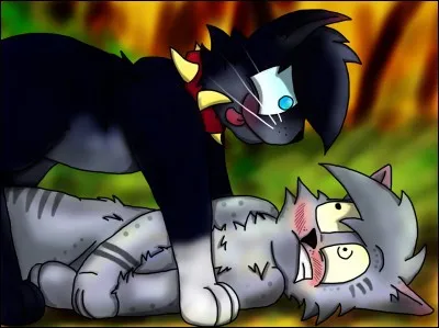 Lorsque les chats errants se sont moqués de lui et ont douté de lui, qu'a-t-il fait ?