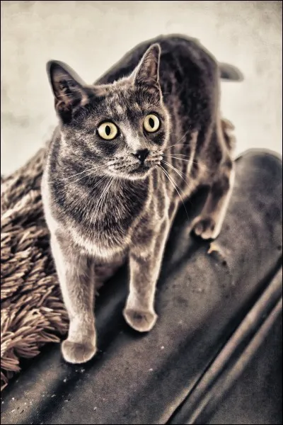 Qui est la mère de Fléau ?