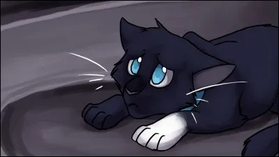 Lorsque ses frères et surs se font adopter, que dit Rubis ?