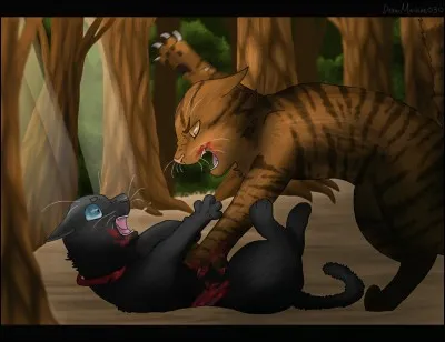 Est-il alors attaqué ?