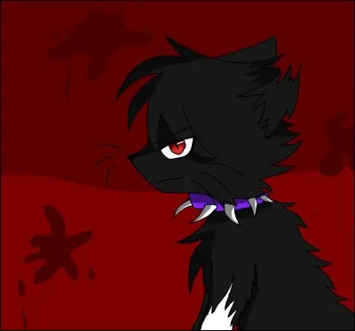 Qui sont les chats intéressés par la dent/griffe ?