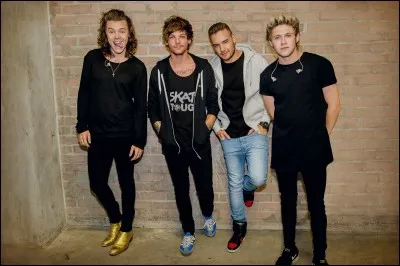 Pourquoi aimes-tu autant les 1D ?