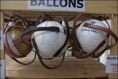 Avec quoi se joue le horse-ball ?
