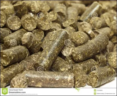 Comment estime-t-on la ration alimentaire donnée au cheval ?