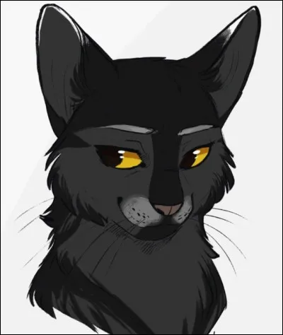 Qui a dessiné Plume Grise ?