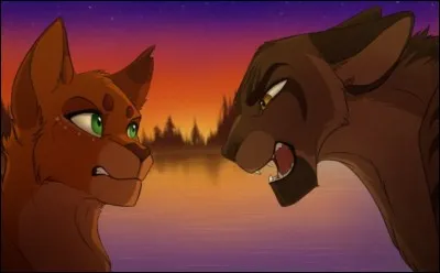 Cette fois-ci c'est Poil d'Écureuil et Griffe de Ronce qui se disputent encore. Mais qui les a aussi bien dessinés ?