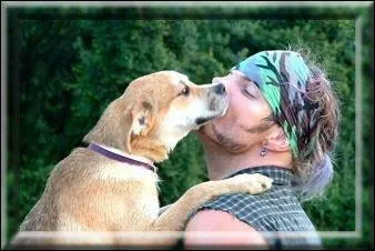 Quel match a inaugur Jeff Hardy et en est maintenant 'le roi' ?