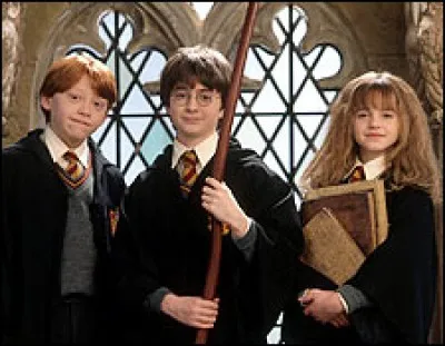 C'est justement dans les toilettes des filles qu'Hermione devient amie avec Harry et Ron. Que s'est-il passé ?